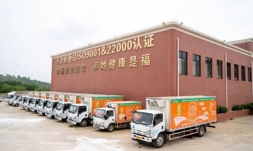 廣東羅定天溪冷鏈物流產(chǎn)地倉一期項(xiàng)目正式動工，助力海淘物流升級